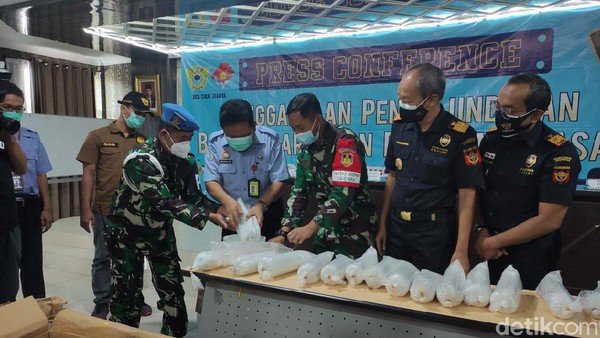 Benih Lobster Senilai Rp 8 Miliar Diamankan di Bandara Juanda