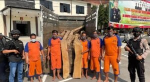 Komplotan Pencuri Ratusan Batang Kayu Jati di Wonosalam Ditangkap