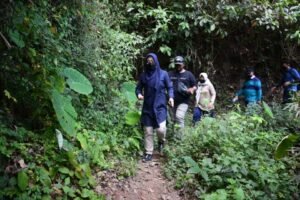 Terobos Hutan, Pemkab Mojokerto Lirik Potensi Air Terjun Coban Kabejan