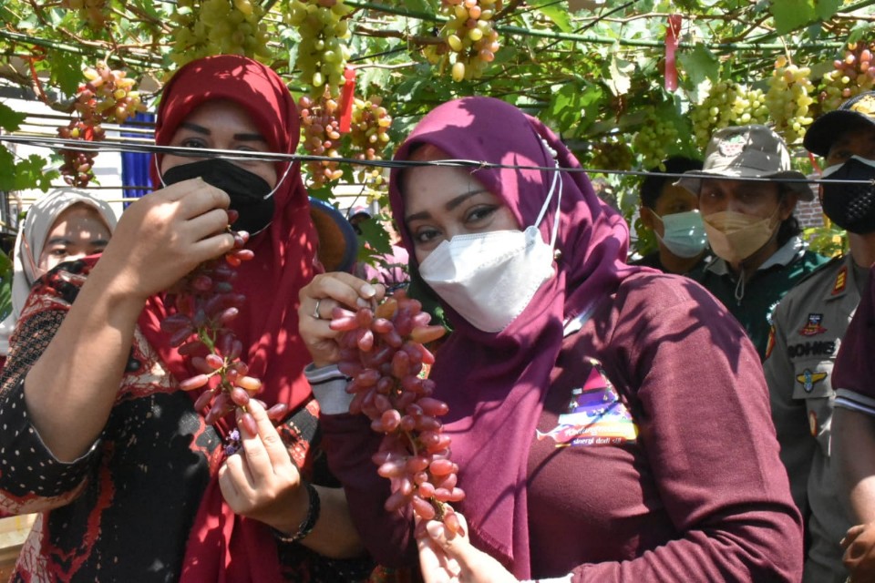 Ikfina Meresmikan “Wisata Kampung Anggur” Desa Kedungmaling-Sooko
