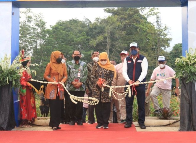 Gubernur Khofifah Beri Bantuan Keuangan Khusus Untuk Penguatan BUMDesa di Mojokerto