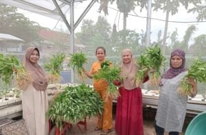 Geliat Urban Farming, Alternatif Ketahanan Pangan Hingga Bantu Tekan Laju Inflasi