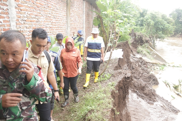 Bupati Ikfina Tinjau Tanggul Jebol, Penyebab Desa Wringinrejo Sooko Terendam Banjir