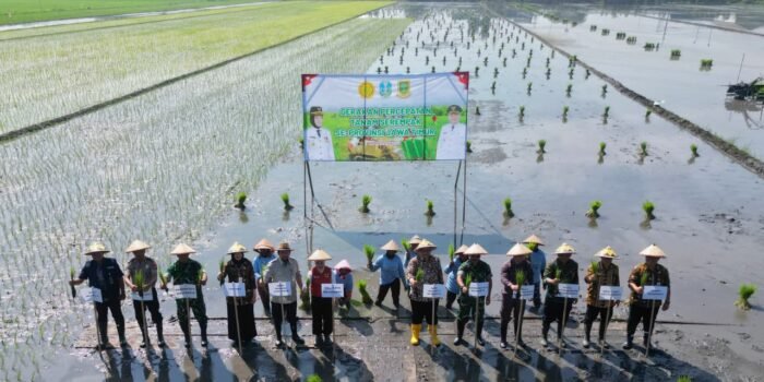Hadapi Kemarau dan Jaga Ketersediaan Pangan, Kota Mojokerto Adakan Gerakan Tanam Serempak