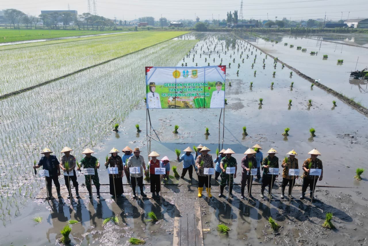 Hadapi Kemarau dan Jaga Ketersediaan Pangan, Kota Mojokerto Adakan Gerakan Tanam Serempak
