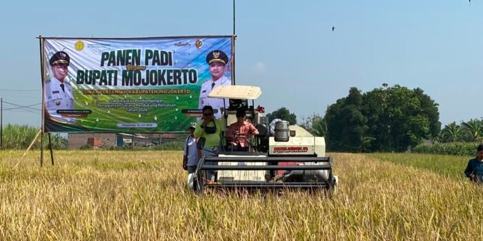 Gus Barraa Panen Padi di Trowulan dan Serahkan Bantuan Pertanian, Dorong Ketahanan Pangan Mojokerto