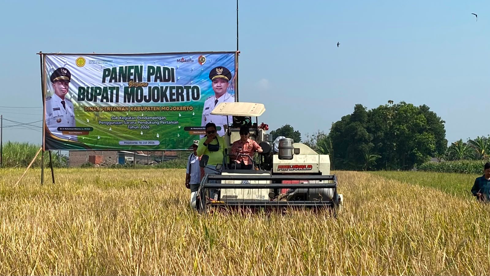 Gus Barraa Panen Padi di Trowulan dan Serahkan Bantuan Pertanian, Dorong Ketahanan Pangan Mojokerto